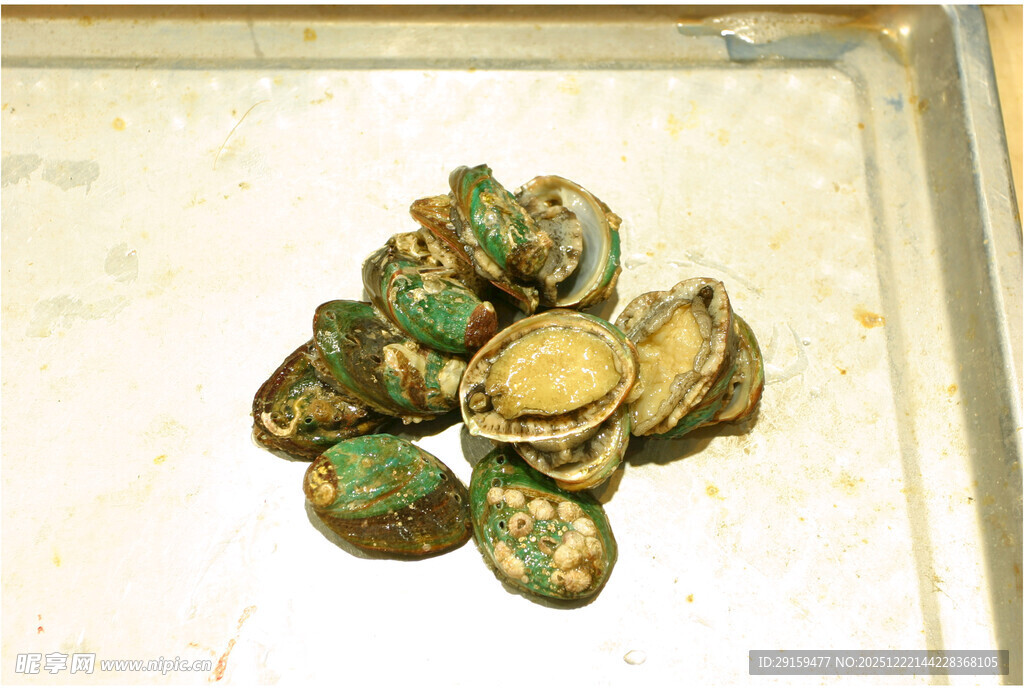 新鲜生蚝堆叠