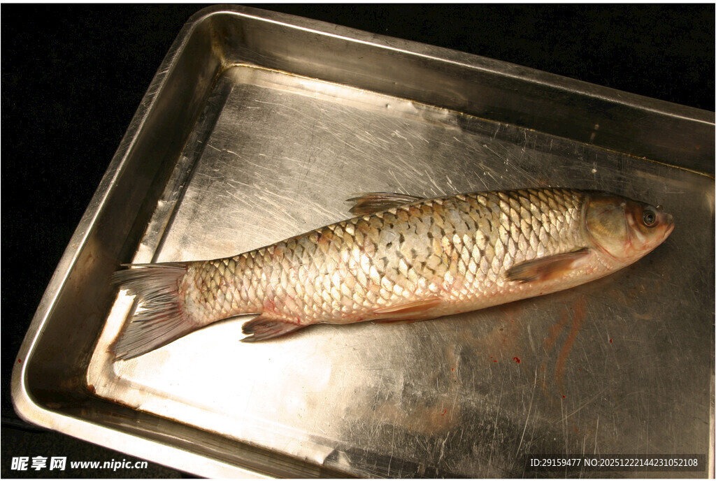 金属盘上的一条鲜鱼