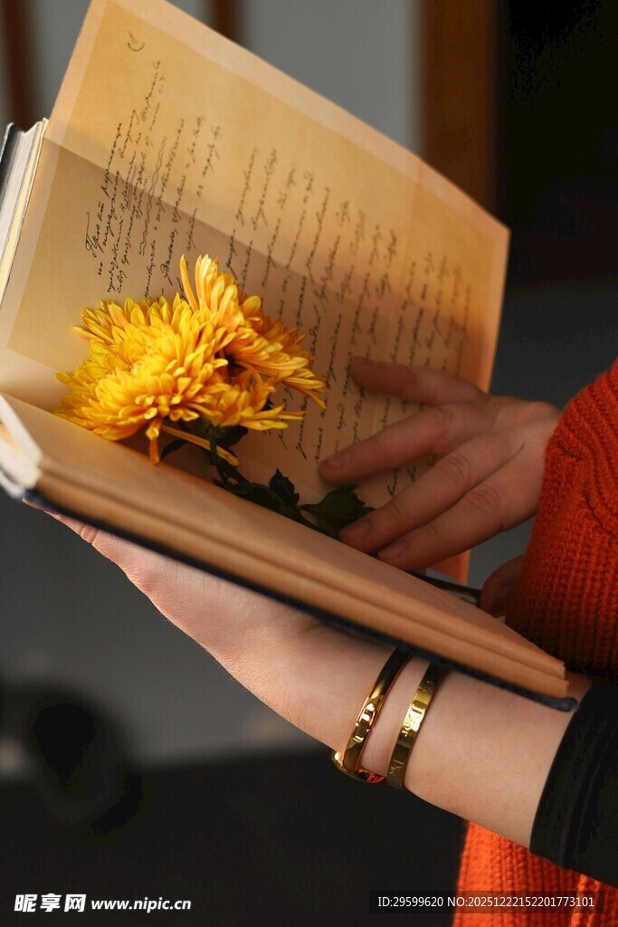 手捧书卷间的干花之美