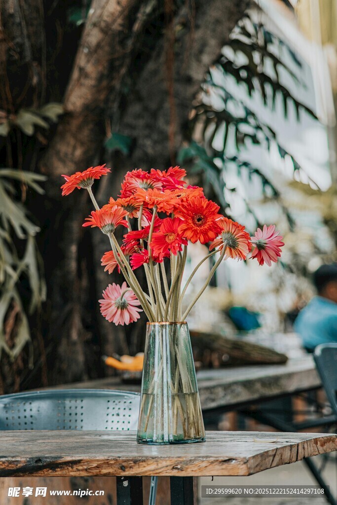 花瓶中的艳丽红花