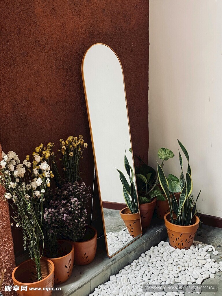 室内绿植与装饰镜组合