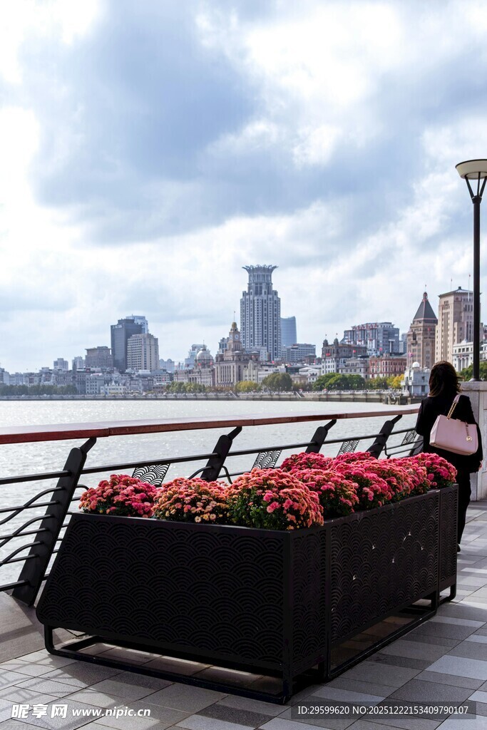 江边花箱旁的城市风景