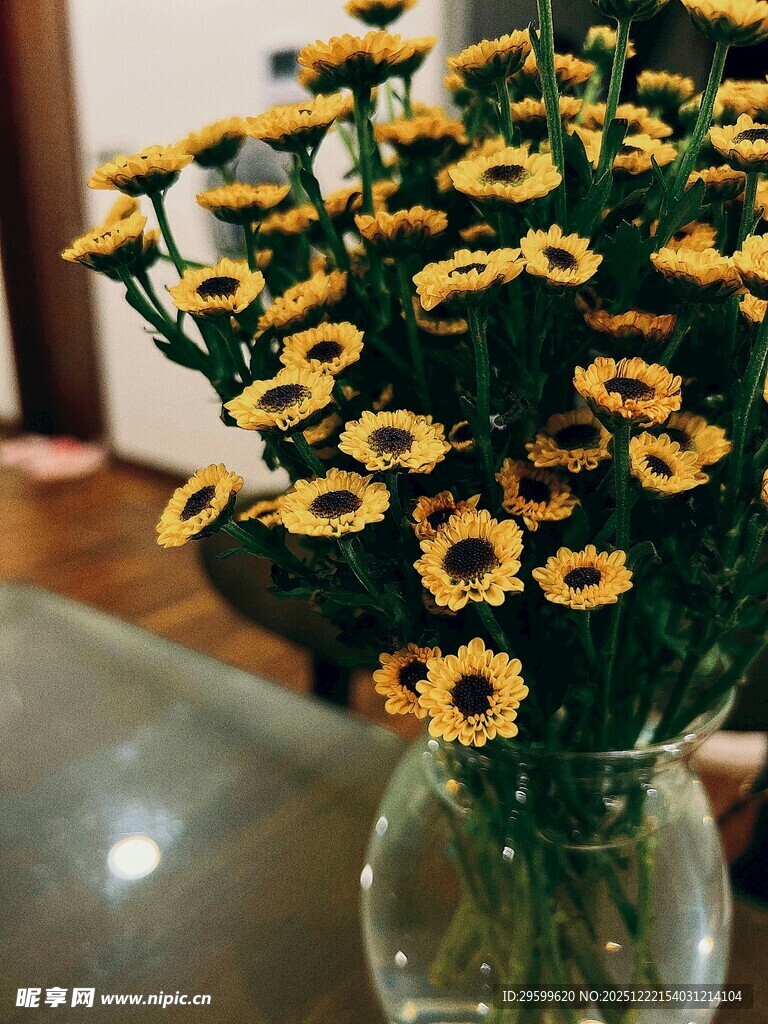 花瓶中的黄色小雏菊