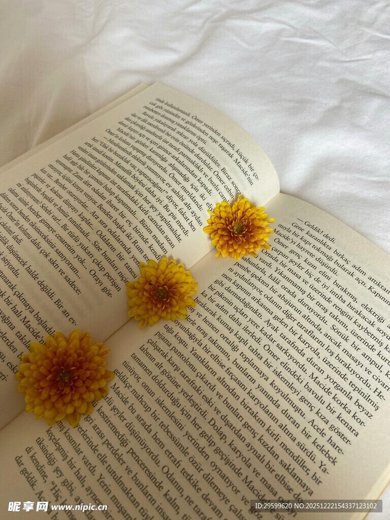 书页上的三朵黄色小花