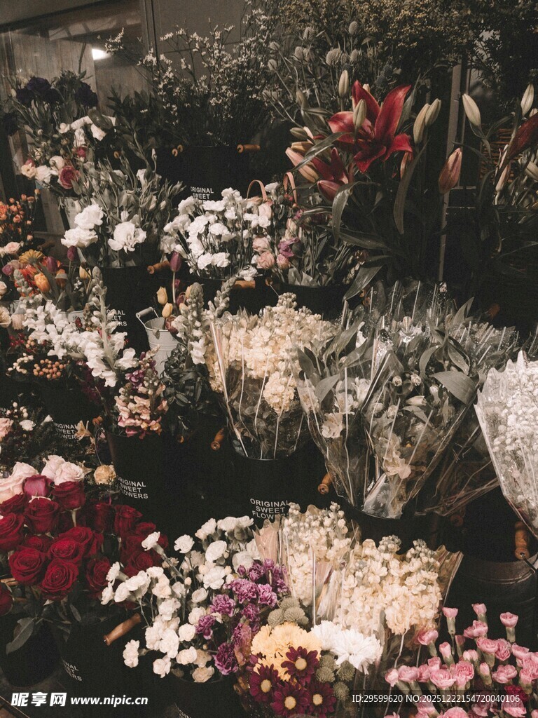 缤纷多彩的花卉景观