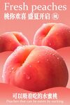 新鲜水蜜桃宣传海报