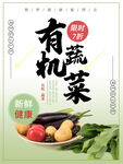 有机蔬菜宣传海报