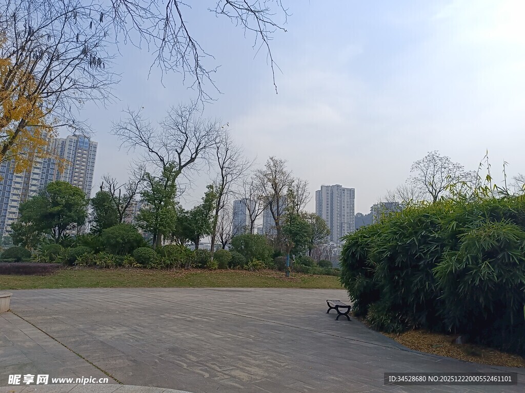 城市公园中的开阔景致