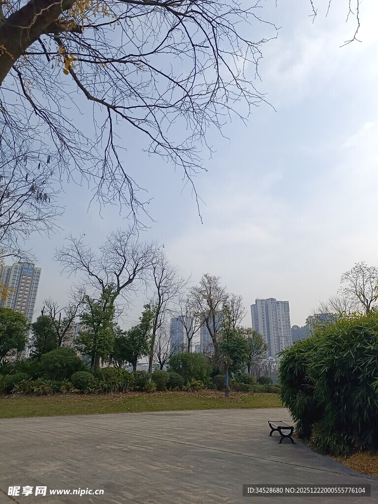 城市公园冬日空旷景致