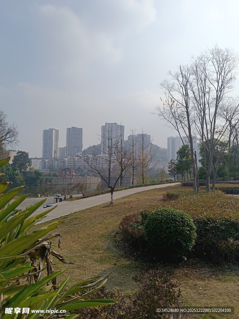 城市公园冬日景致