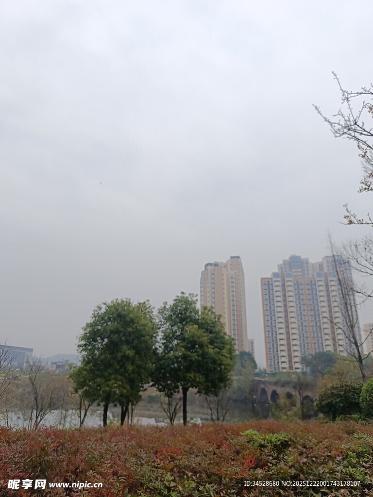 雾中城市与绿植景观