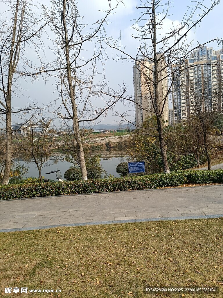 城市公园冬日景观