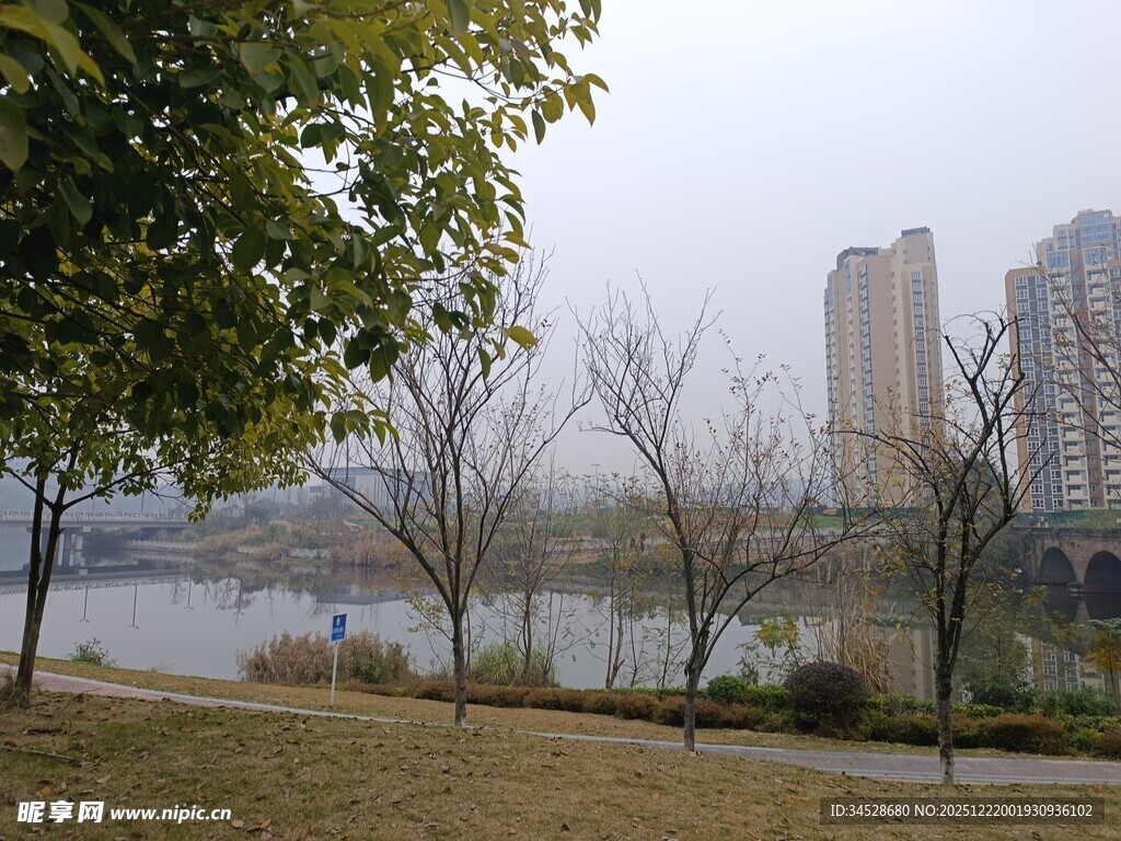 城市湖畔风景