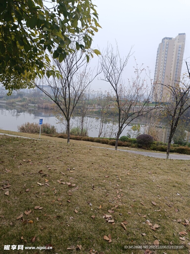 城市河畔草地风景