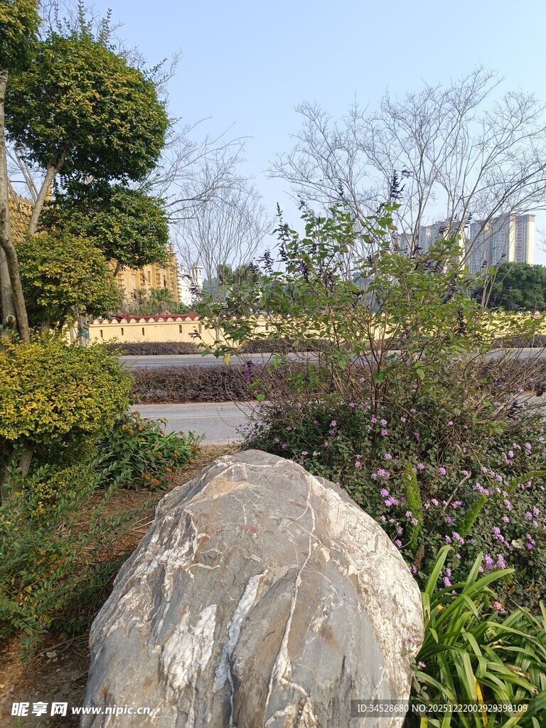 园林中巨石与绿植景观