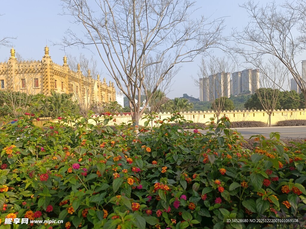 花园旁的欧式建筑景观