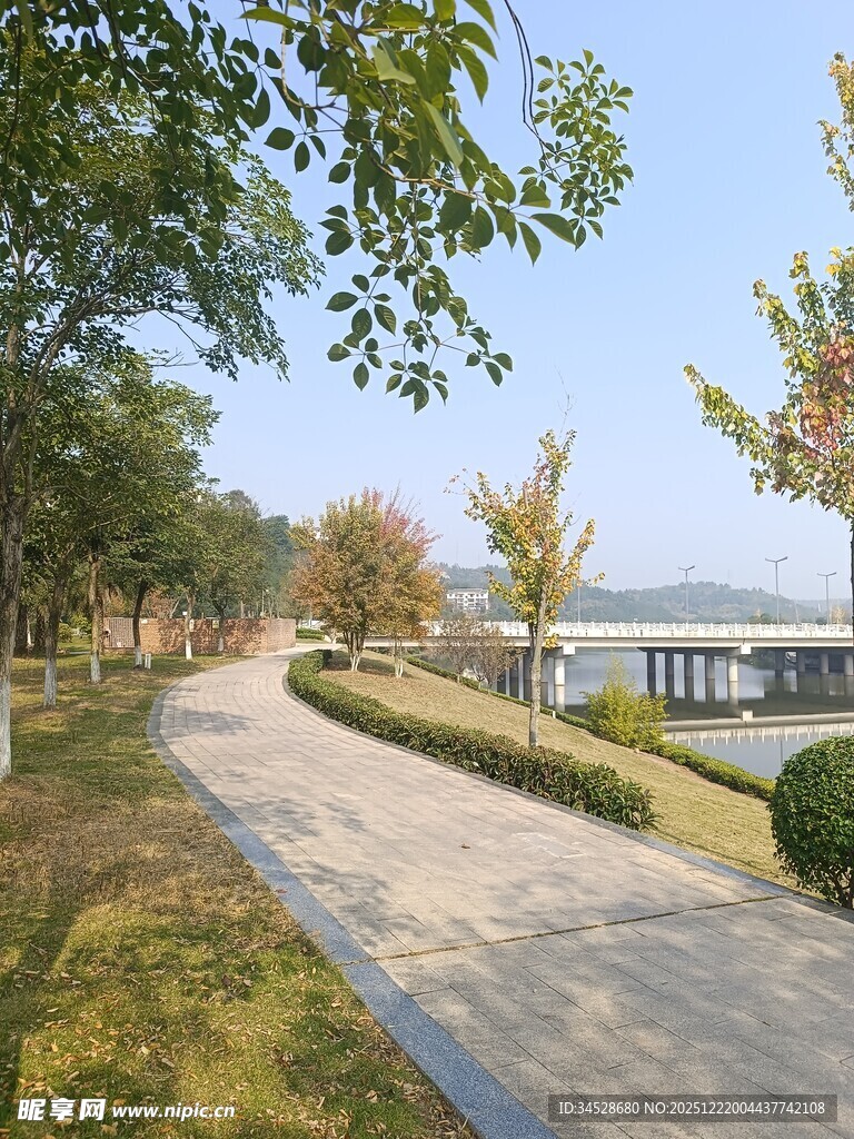 湖畔林荫小道风景