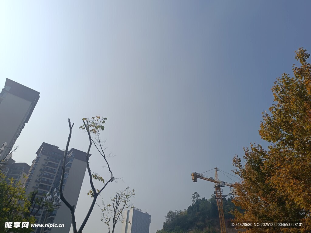 城市秋日建筑与树木景观