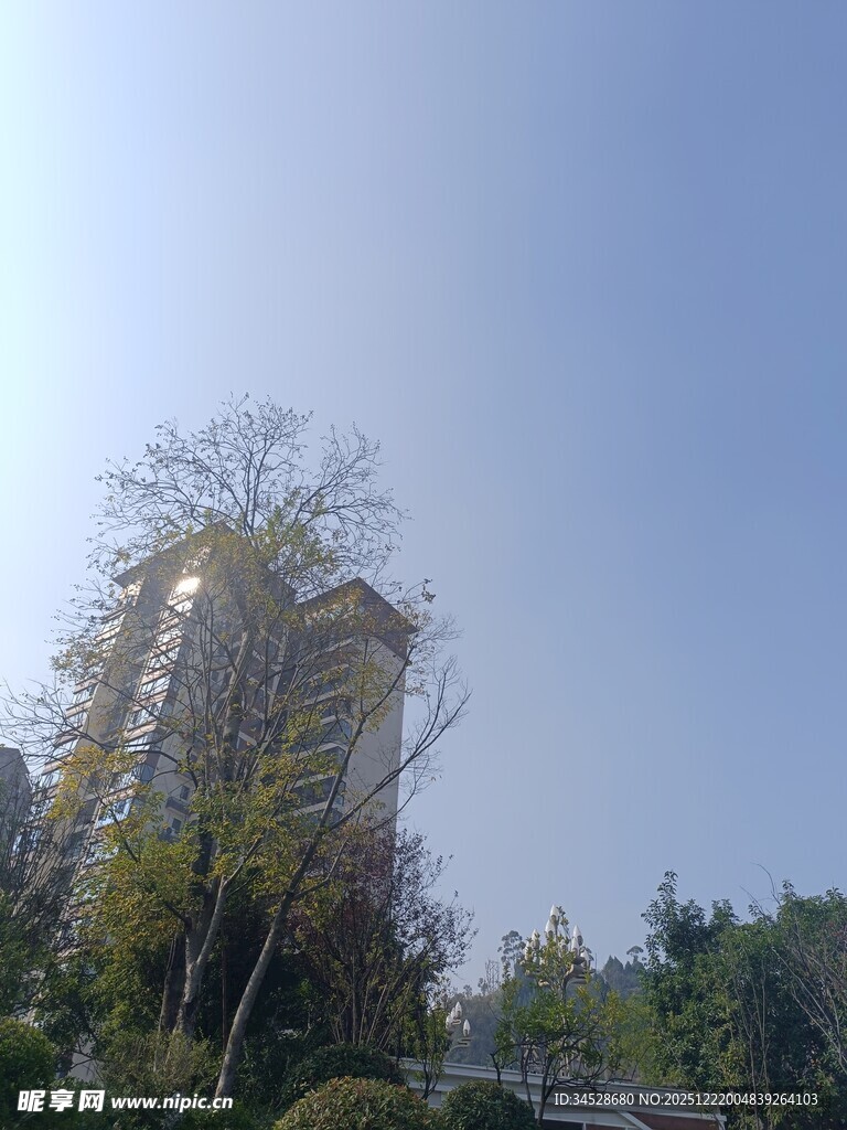 高楼旁的绿树蓝天景象