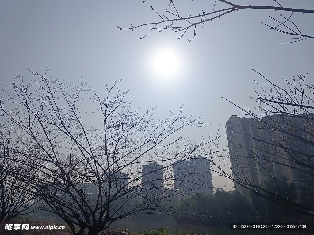 冬日暖阳下的城市景象