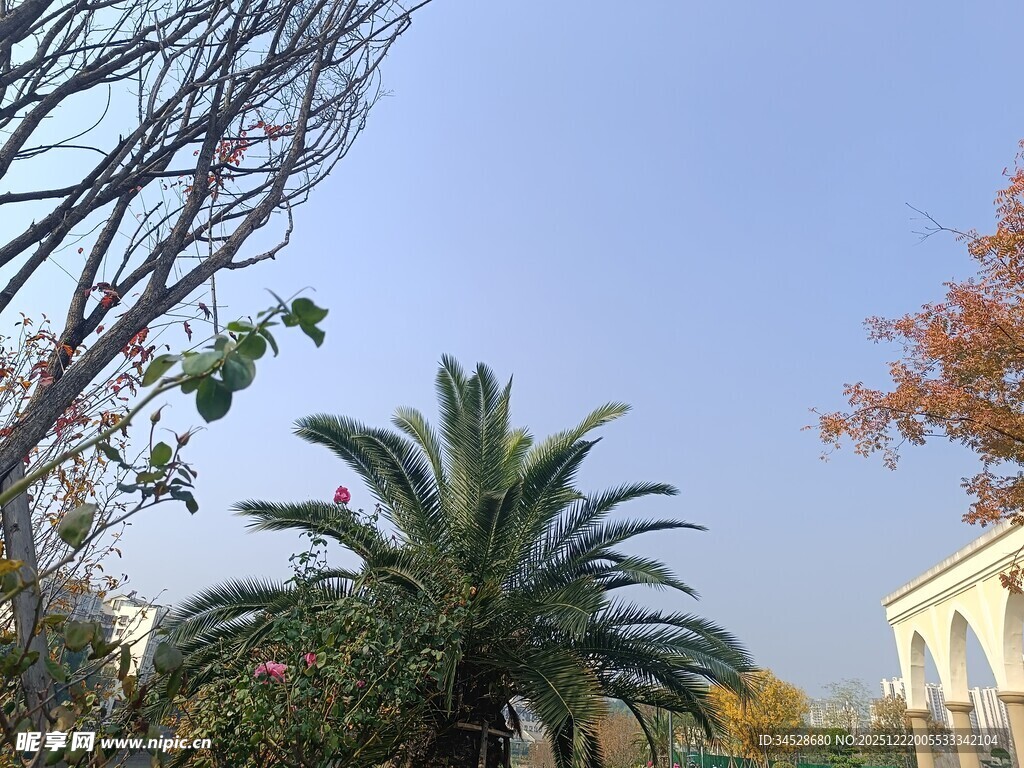 户外绿植与建筑景观