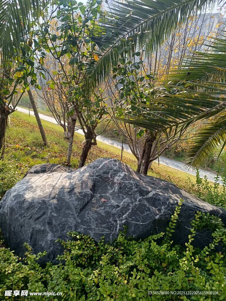 园林景观中的巨石与绿植