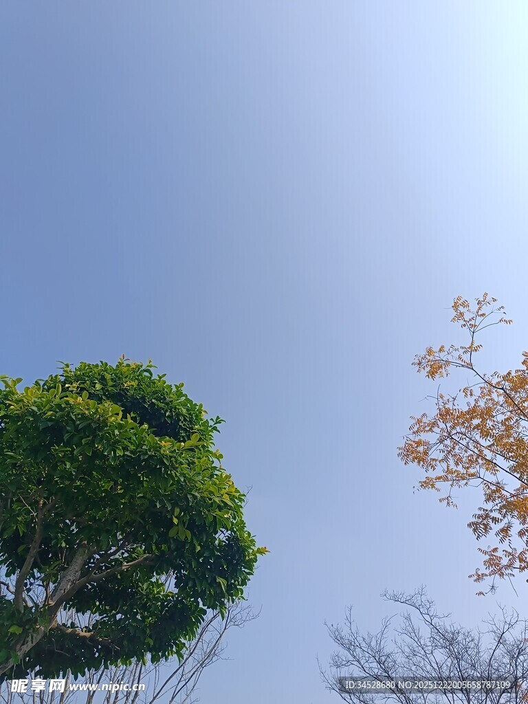 蓝天绿树间的自然景致