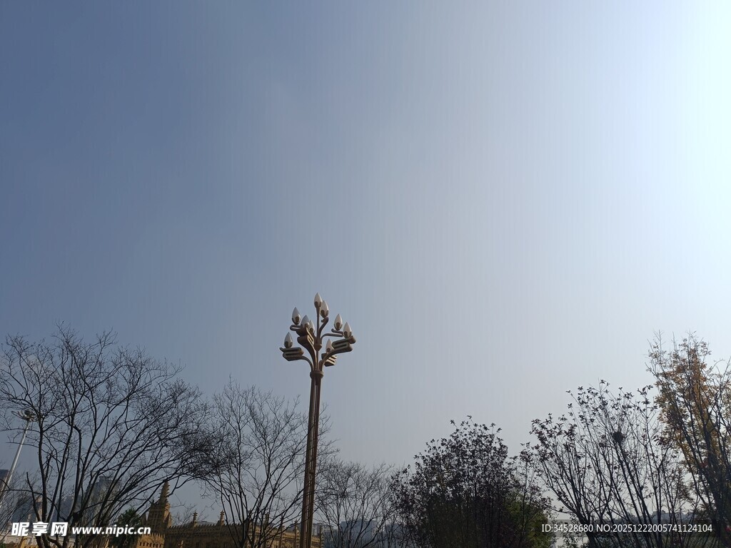 冬日户外的路灯与树木