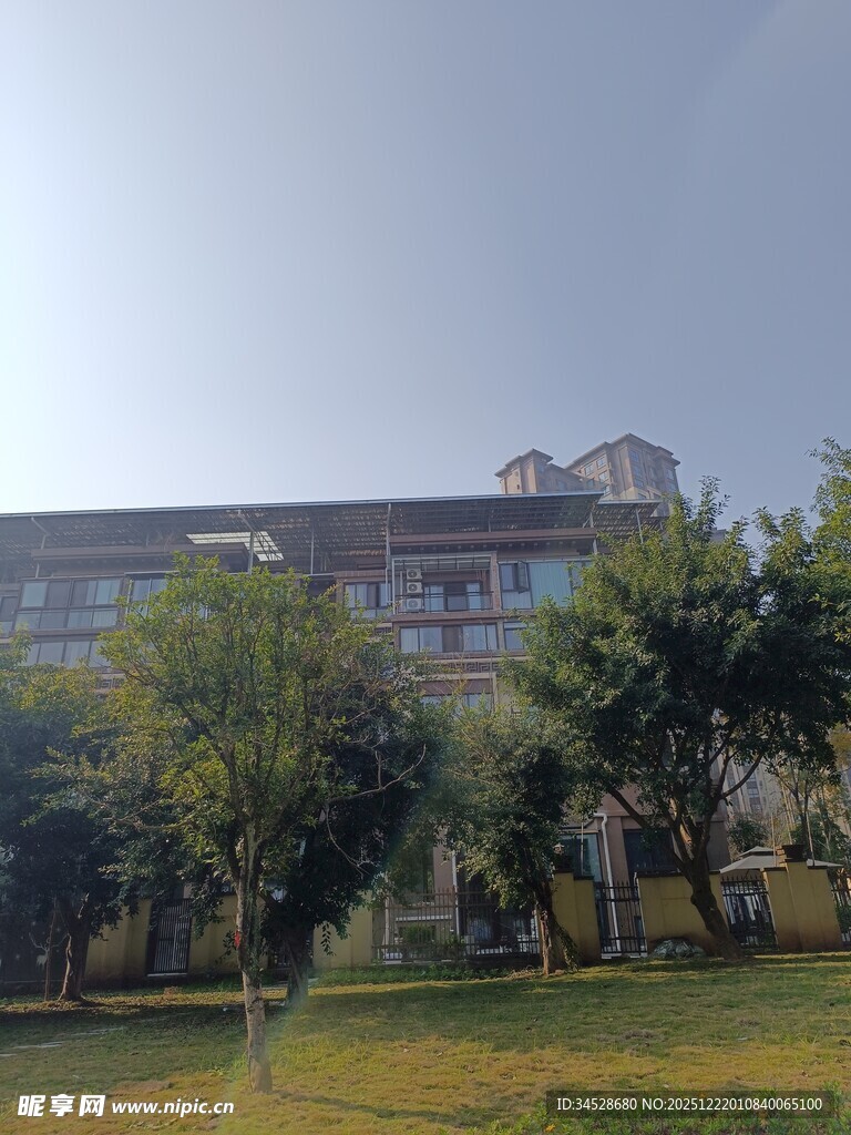 绿树环绕的多层建筑