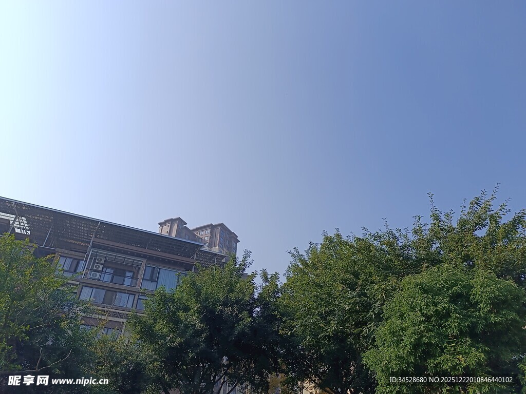 绿树掩映下的建筑