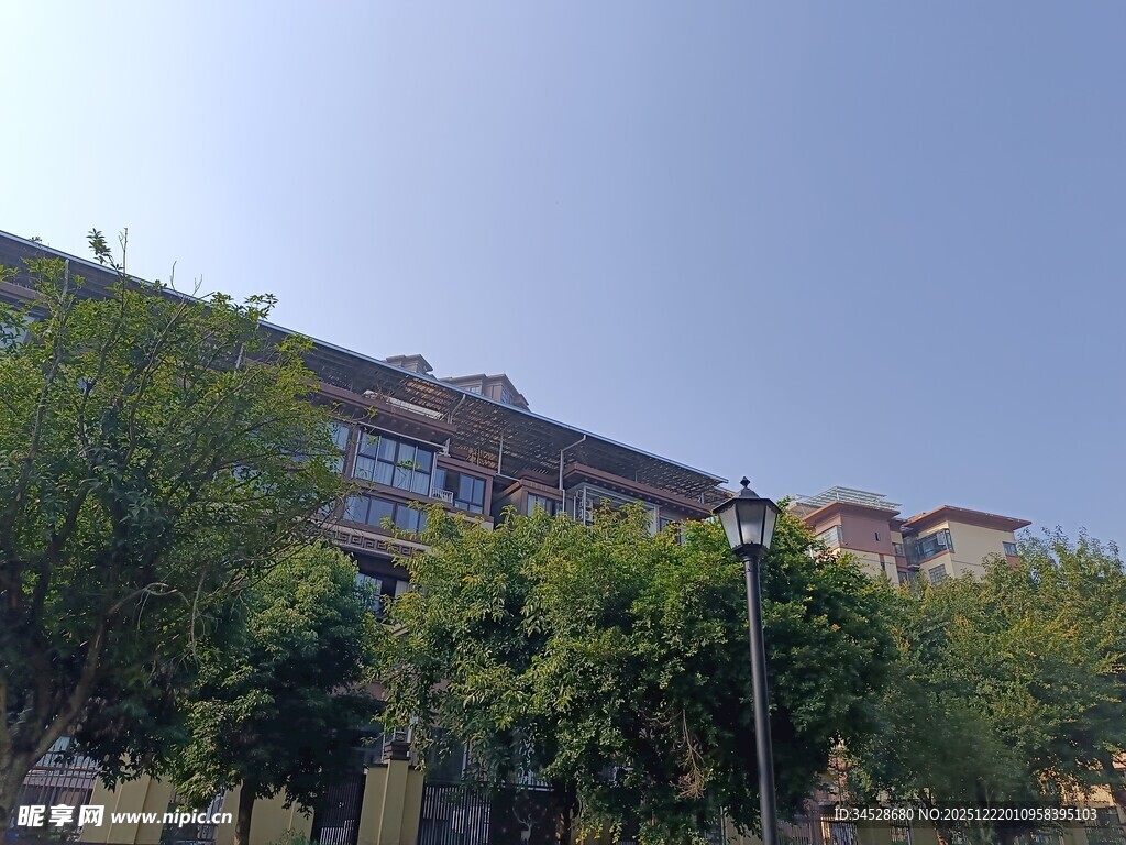 绿树掩映下的建筑