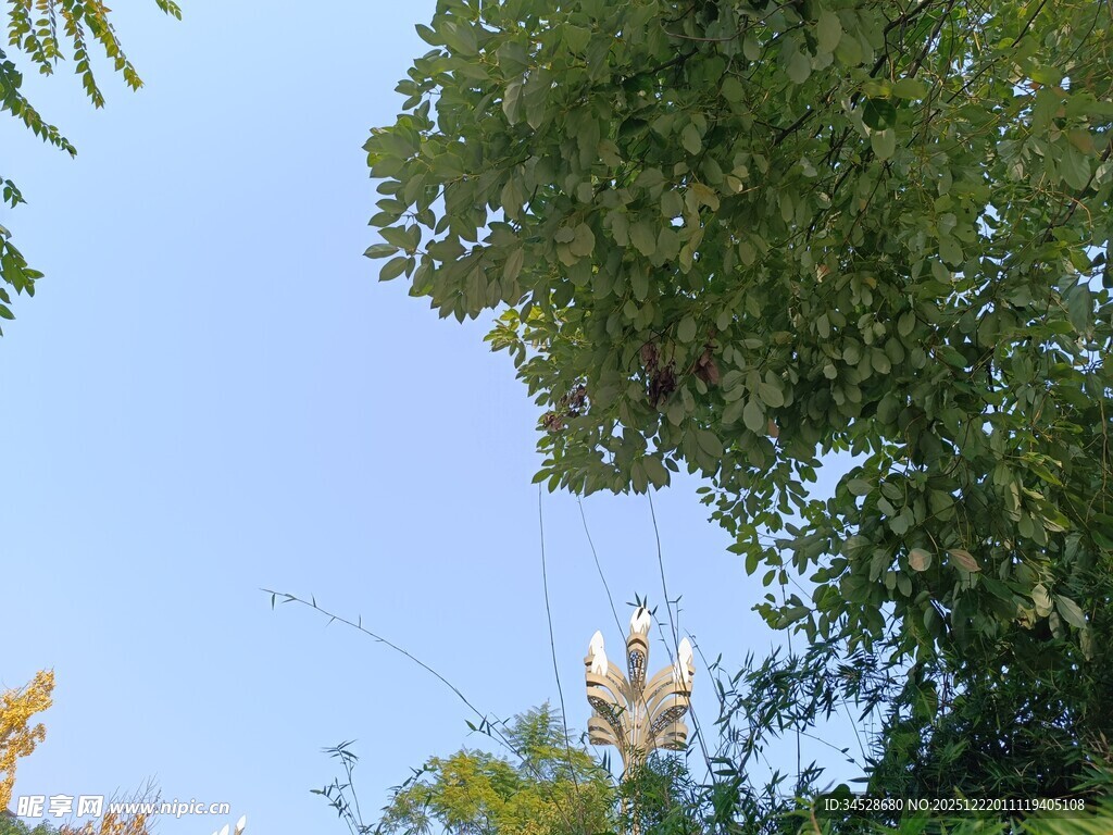 工人高空作业于绿树间