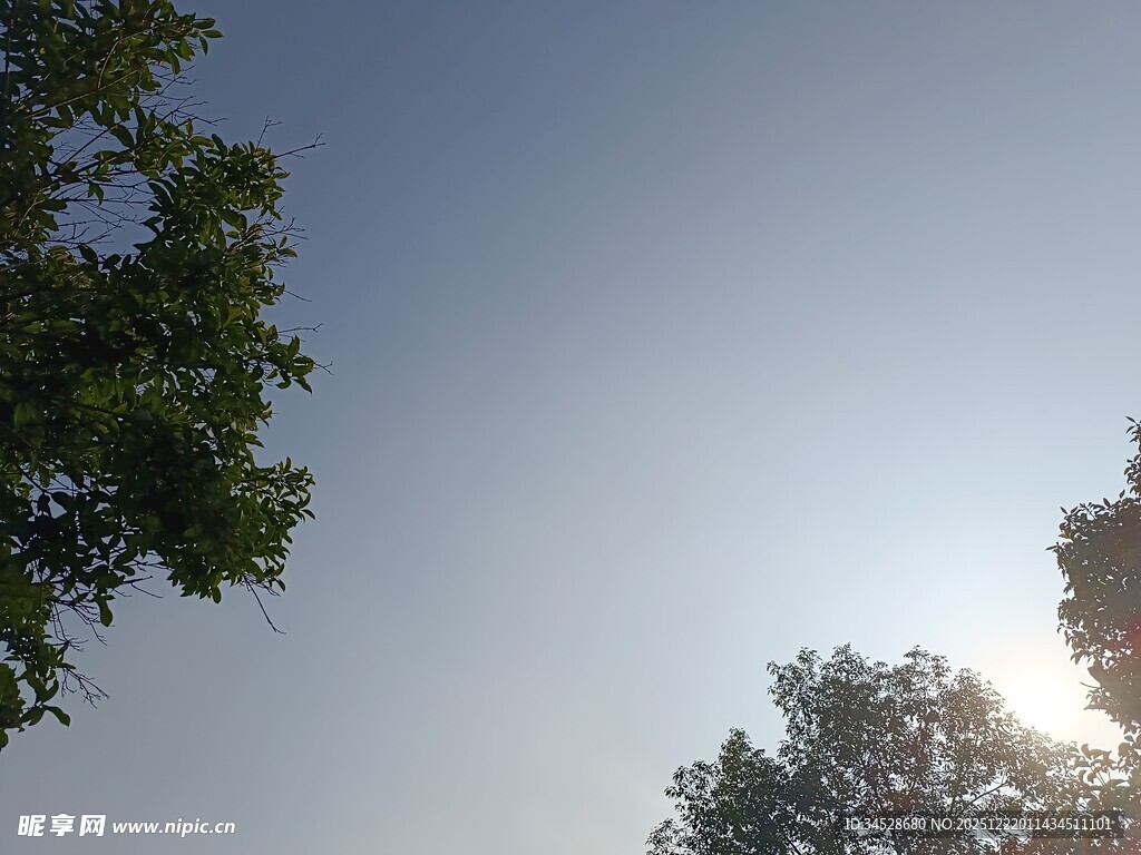 阳光透过树梢的晴朗时刻