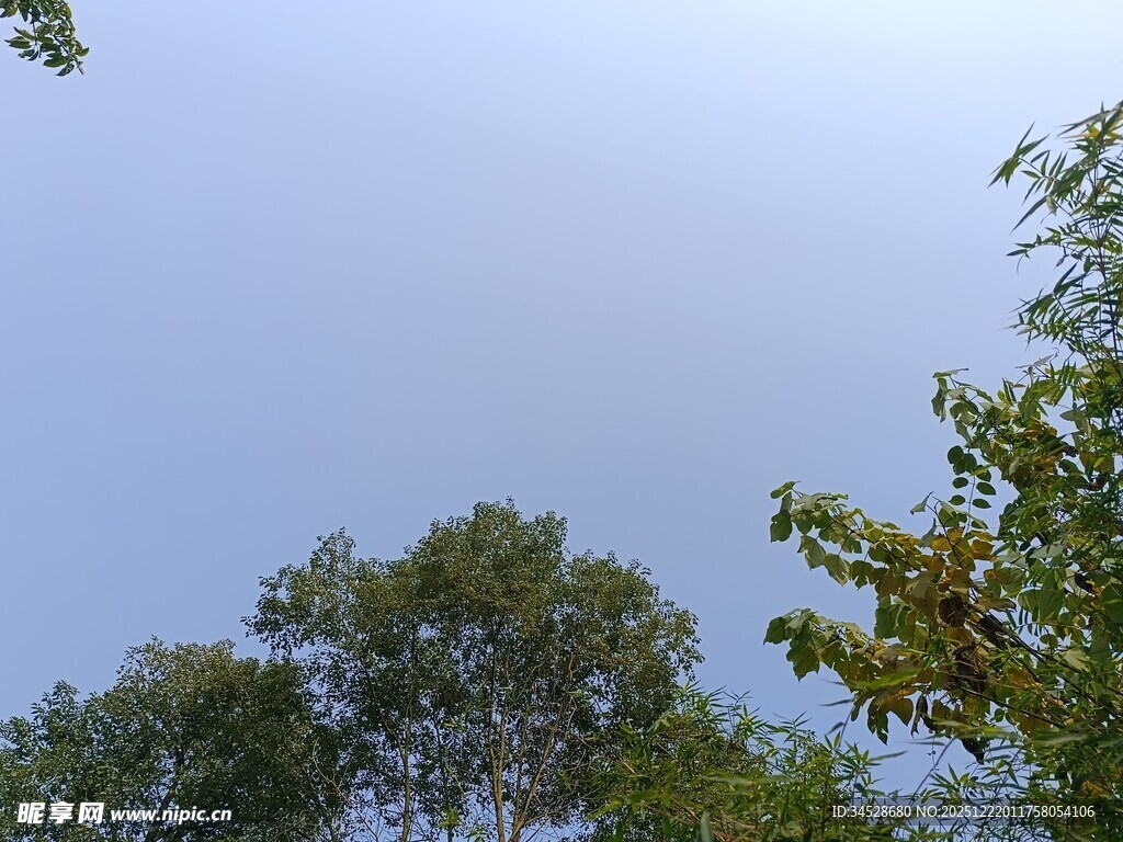 蓝天绿树自然景致
