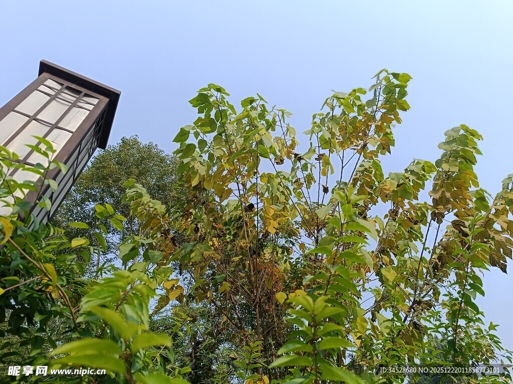 蓝天绿树间的古朴灯柱