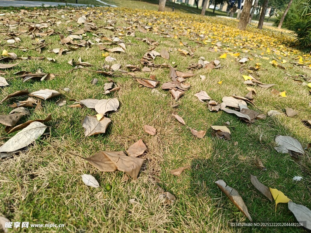 草地散落破碎石板景象