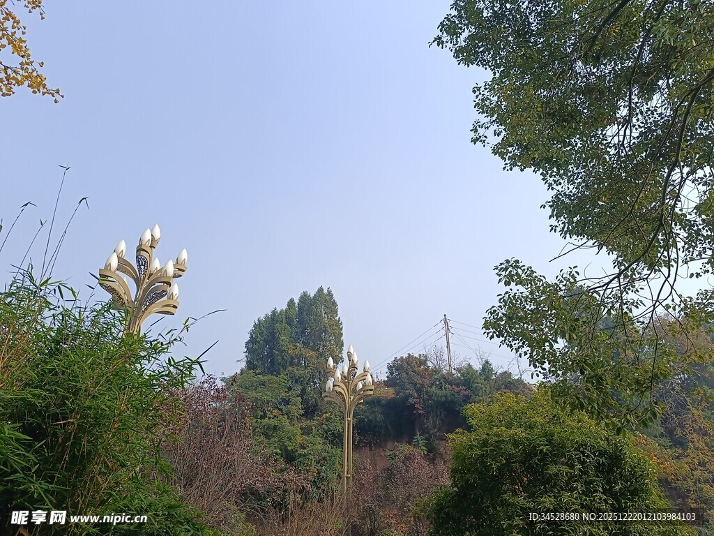 户外绿植与蓝天景致