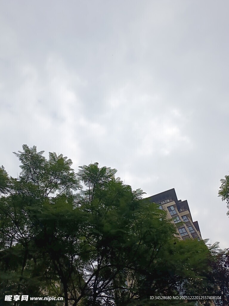 阴天绿树旁的建筑物