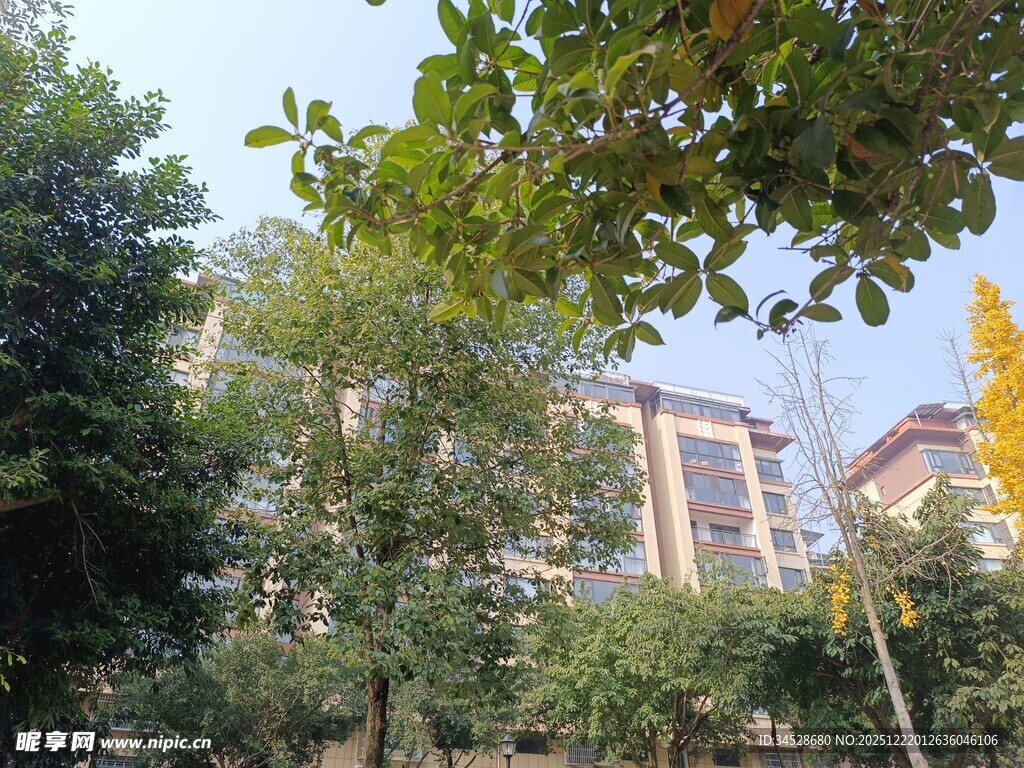 绿树环绕的楼宇景观