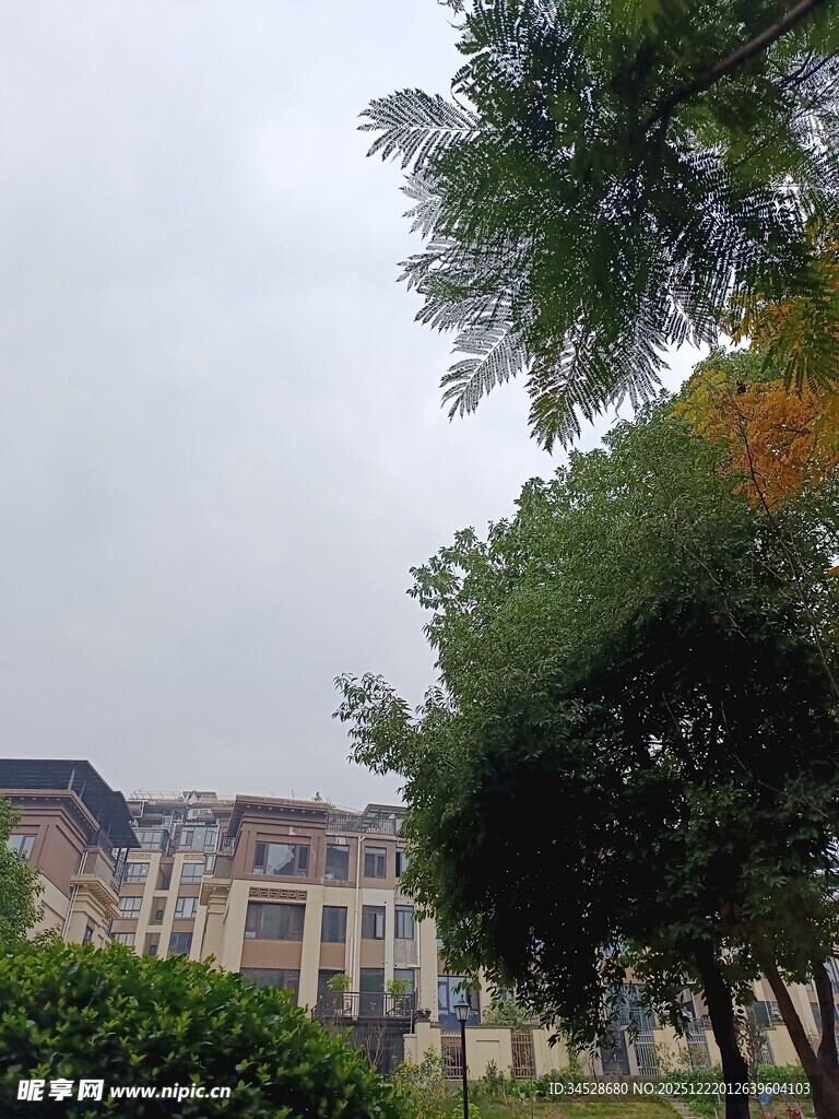 小区周边绿植与建筑景观