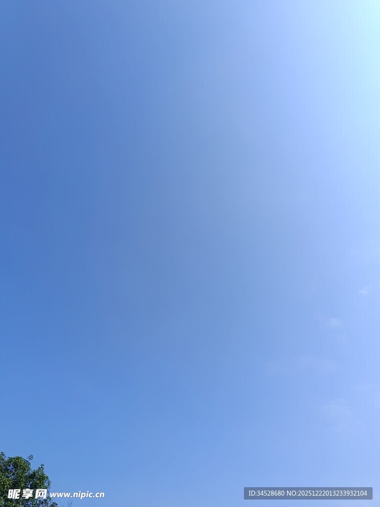 晴朗蓝天与树梢