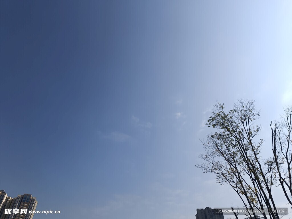 晴朗天空下的树木与建筑