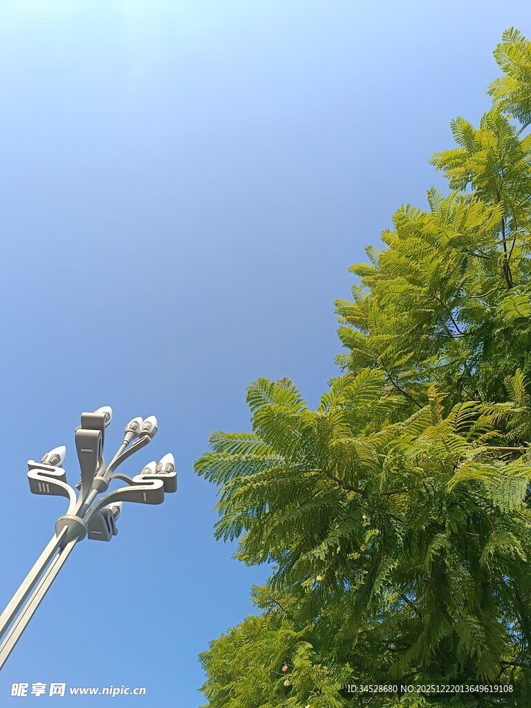 蓝天绿树间的照明灯具