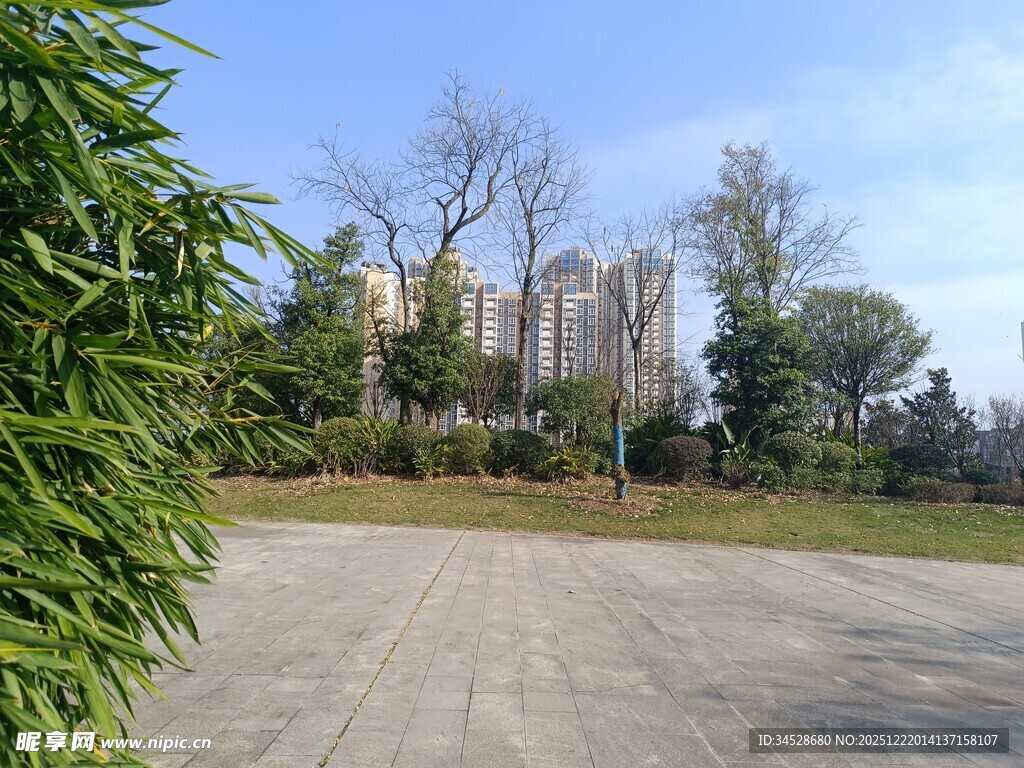 城市公园中的开阔景致
