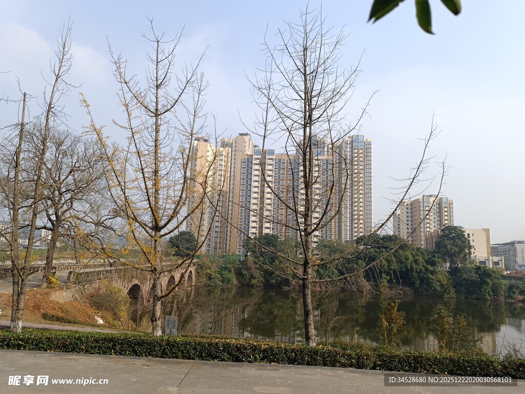 城市河畔冬日风景