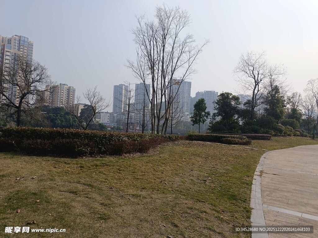 城市公园冬日景观