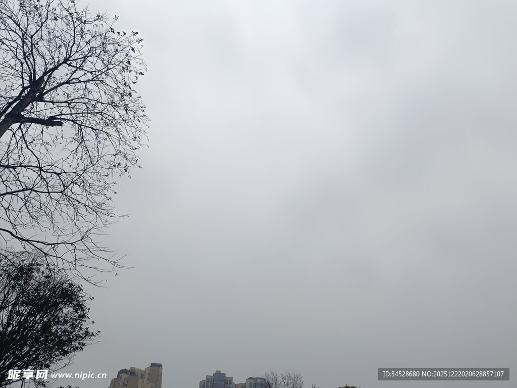 雾中枯树与远处建筑