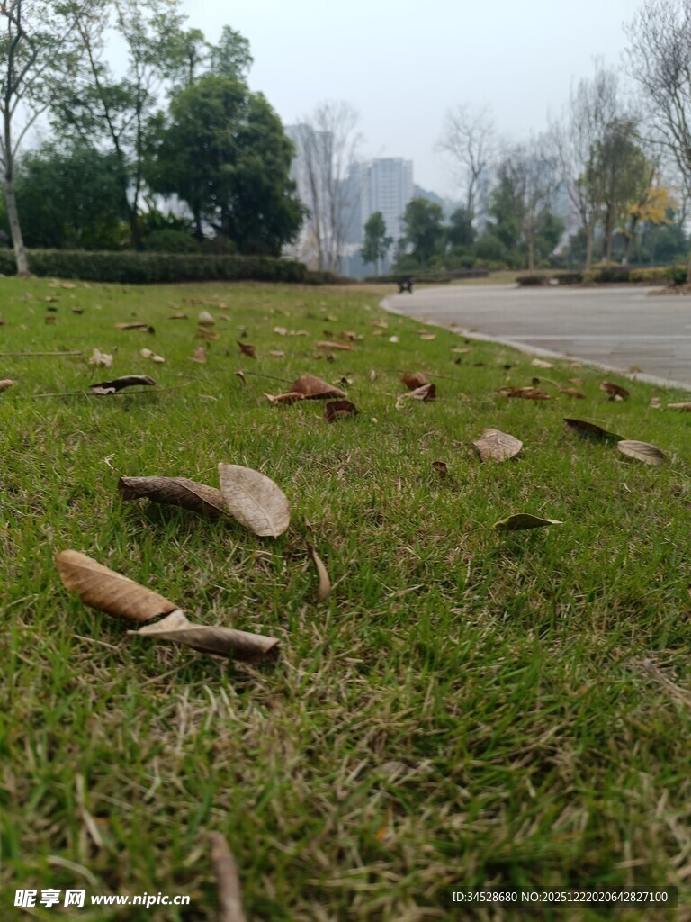 草地上的破碎石板