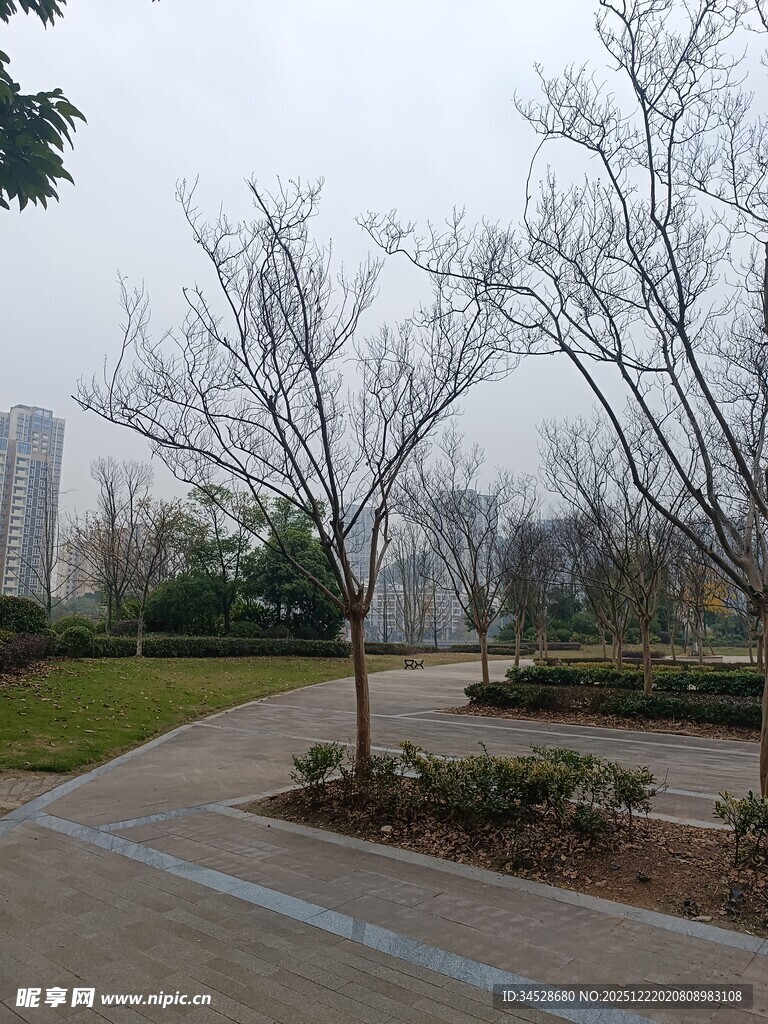 城市公园冬日景观