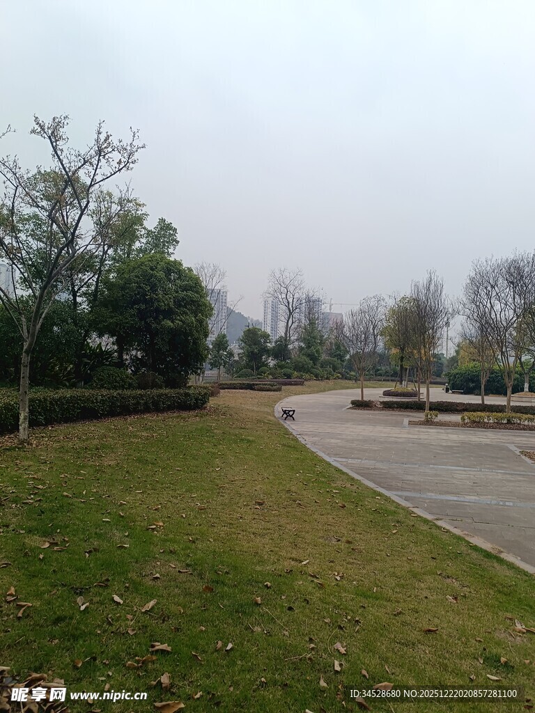 户外开阔草地与道路景观